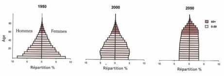 Evolution de la pyramides des âge de la population mondiale. Source "World Population Ageing".