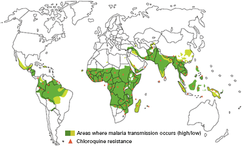 L’Afrique, l’Amérique latine et l’Inde sont les trois grandes parties du monde où sévit le paludisme.