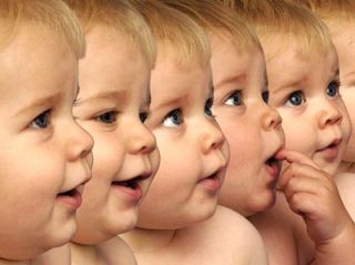 Le clonage reproductif serait un barrage au brassage génétique, à l’évolution même de l’espèce