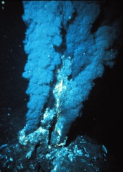Les fumées émises par les "fumeurs noirs" sont composées de fluide hydrothermal presque pur et sont très riches en hydrogène sulfuré. La température des fluides émis varie de 300 à 400 °C
