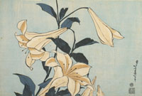 Série des Grandes Fleurs Lys, 1833-1834, Impression polychrome (nishiki-e), format ôban