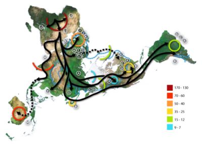 Carte des migrations préhistoriques