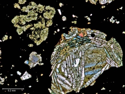Vue au microscope optique en lumière transmise d’une lame mince de la météorite de Paris.
