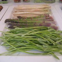 Asperges sauvages, asperges vertes, asperges blanches