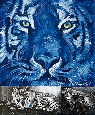 Jacques MONORY "Tigre n°8, Tigre sentimental" 2011 Huile sur toile, photo et plexiglass 73 x 60