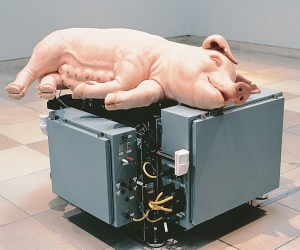Mechanical pig la truie mécanique 2003-2005 Paul McCarthy