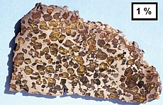 Exemple de météorite de fer