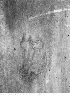 Léonard de Vinci, Sainte Anne, détail du revers, crâne (IR) LAMBERT Elsa - LAE3868